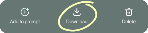 Download button screenshot